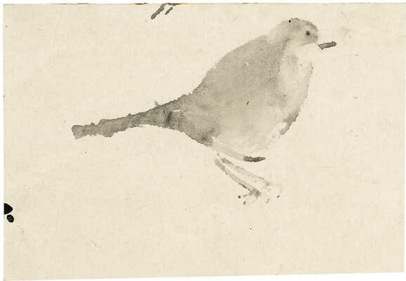 Курдов Валентин Иванович. Птица. Иллюстрация к книге В. Бианки «Лесная газета»